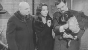 Los locos Addams: 1×28