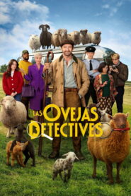 Las ovejas detectives