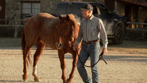 Rancho Dutton: 1×5